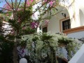 Koralli hotel